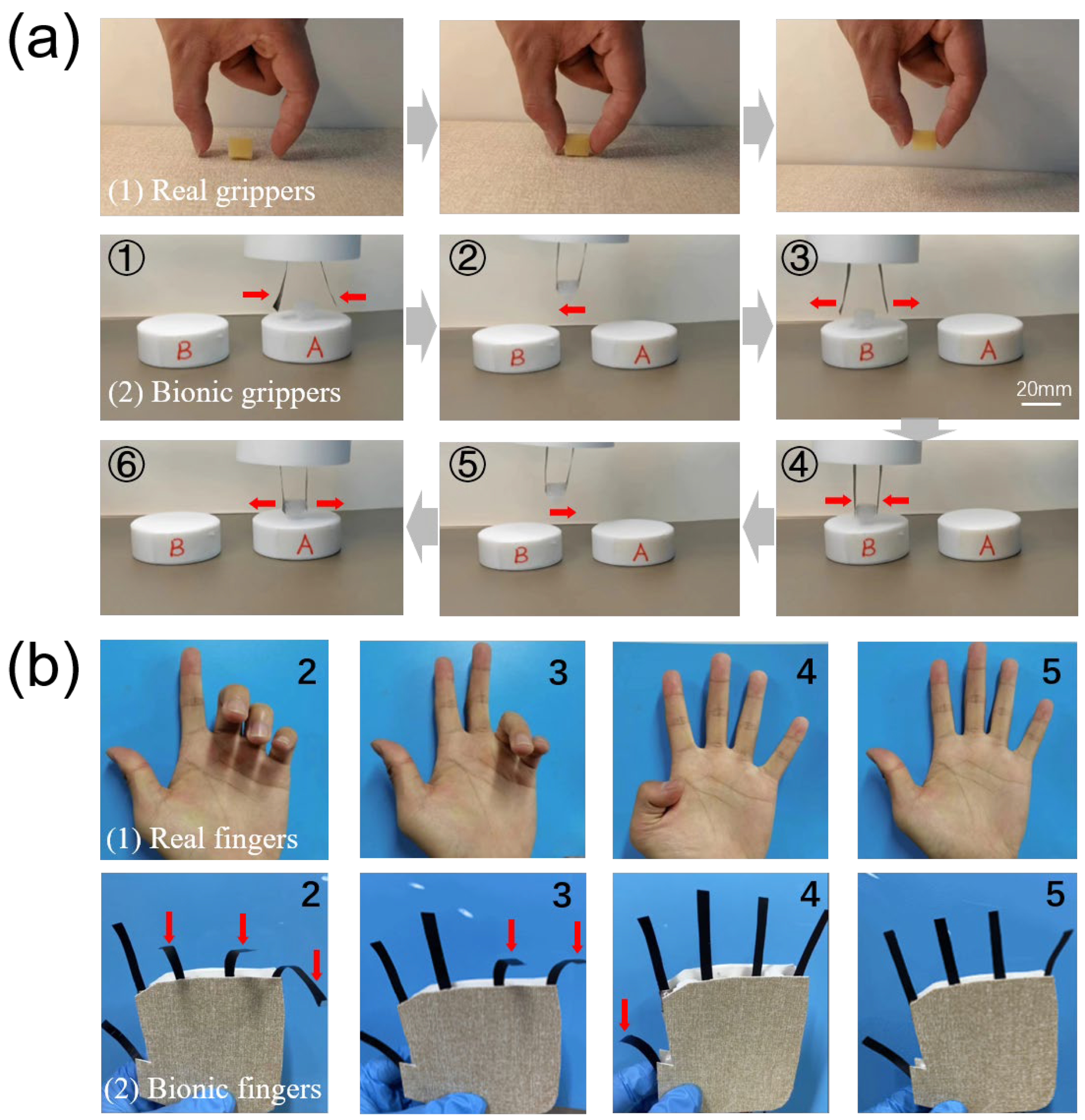 Actuators 13 00200 g007