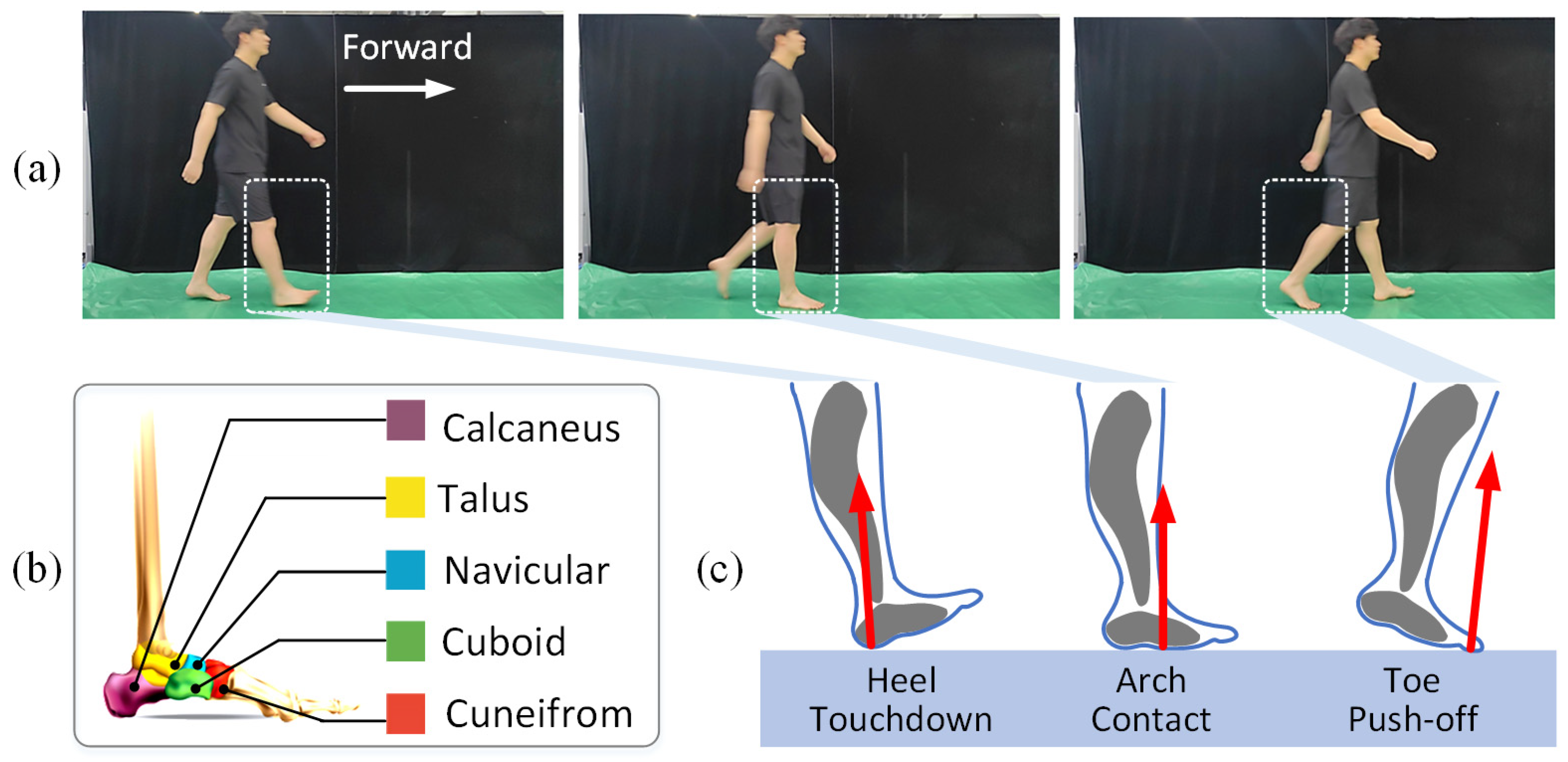 Actuators 13 00240 g002
