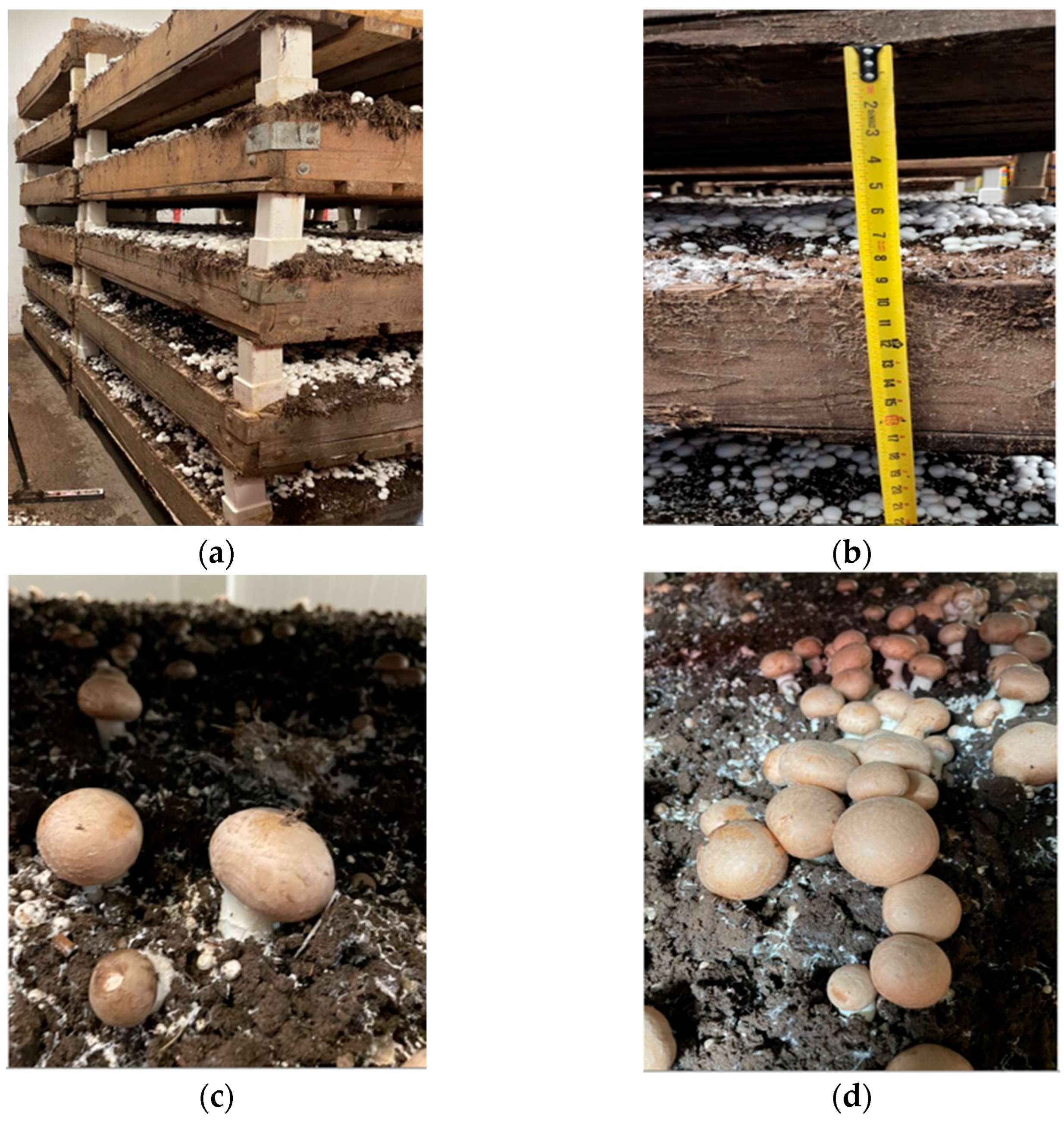 Actuators 13 00287 g003