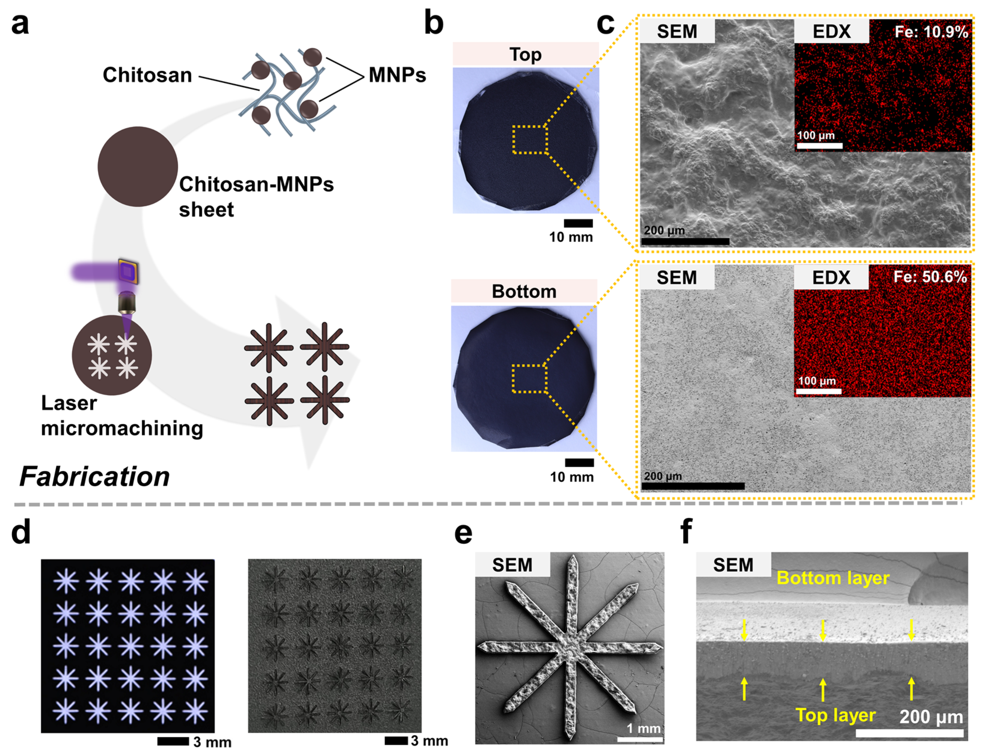 Actuators 13 00341 g002