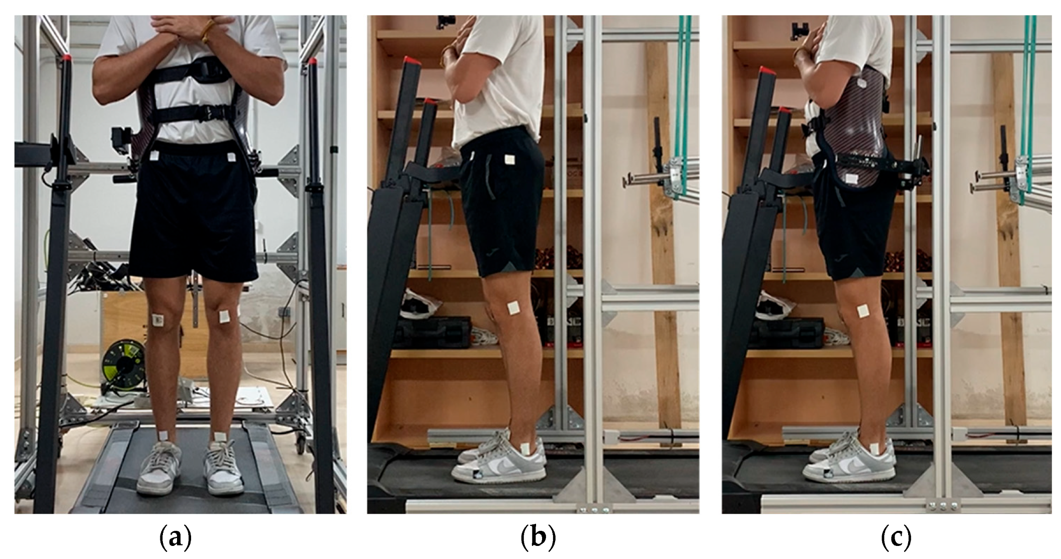 Actuators 13 00348 g004