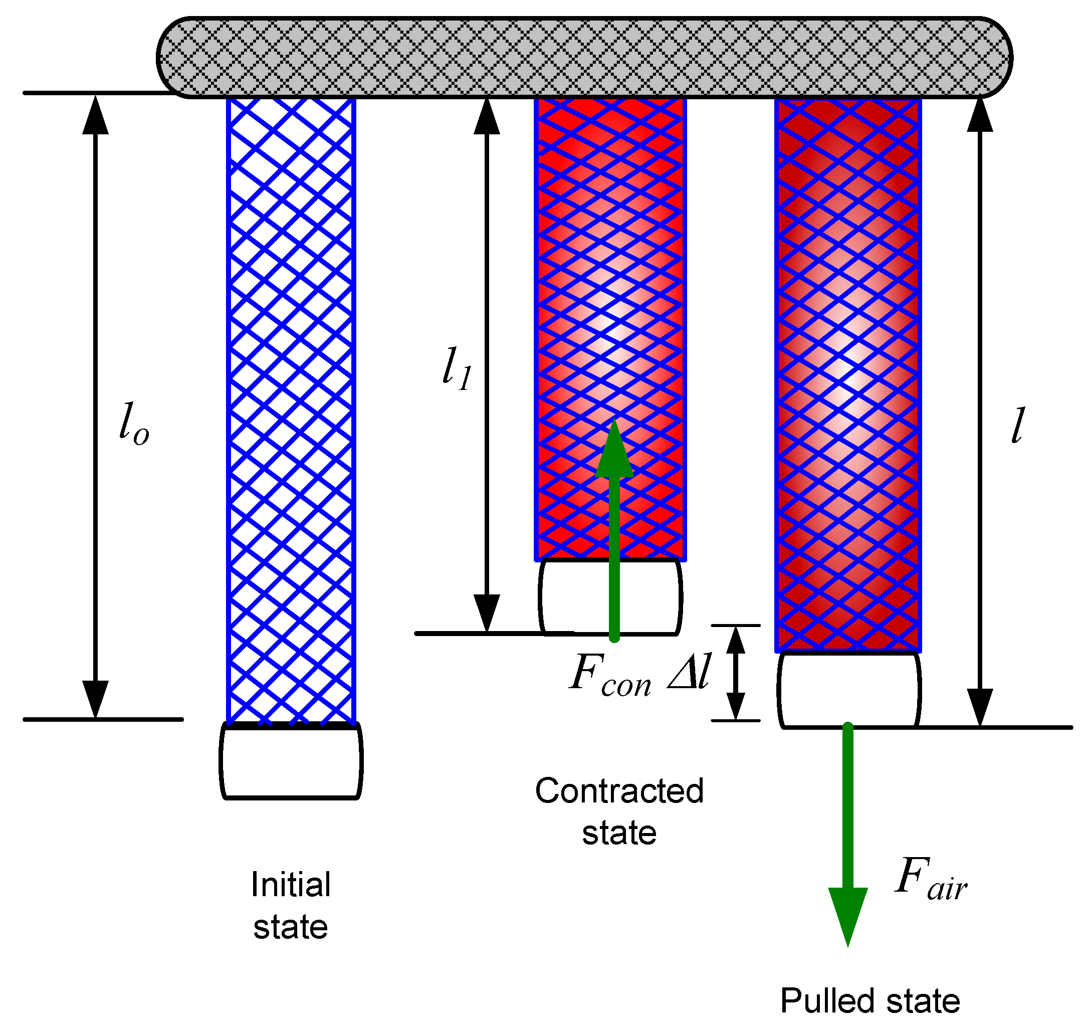 Actuators 13 00355 g002