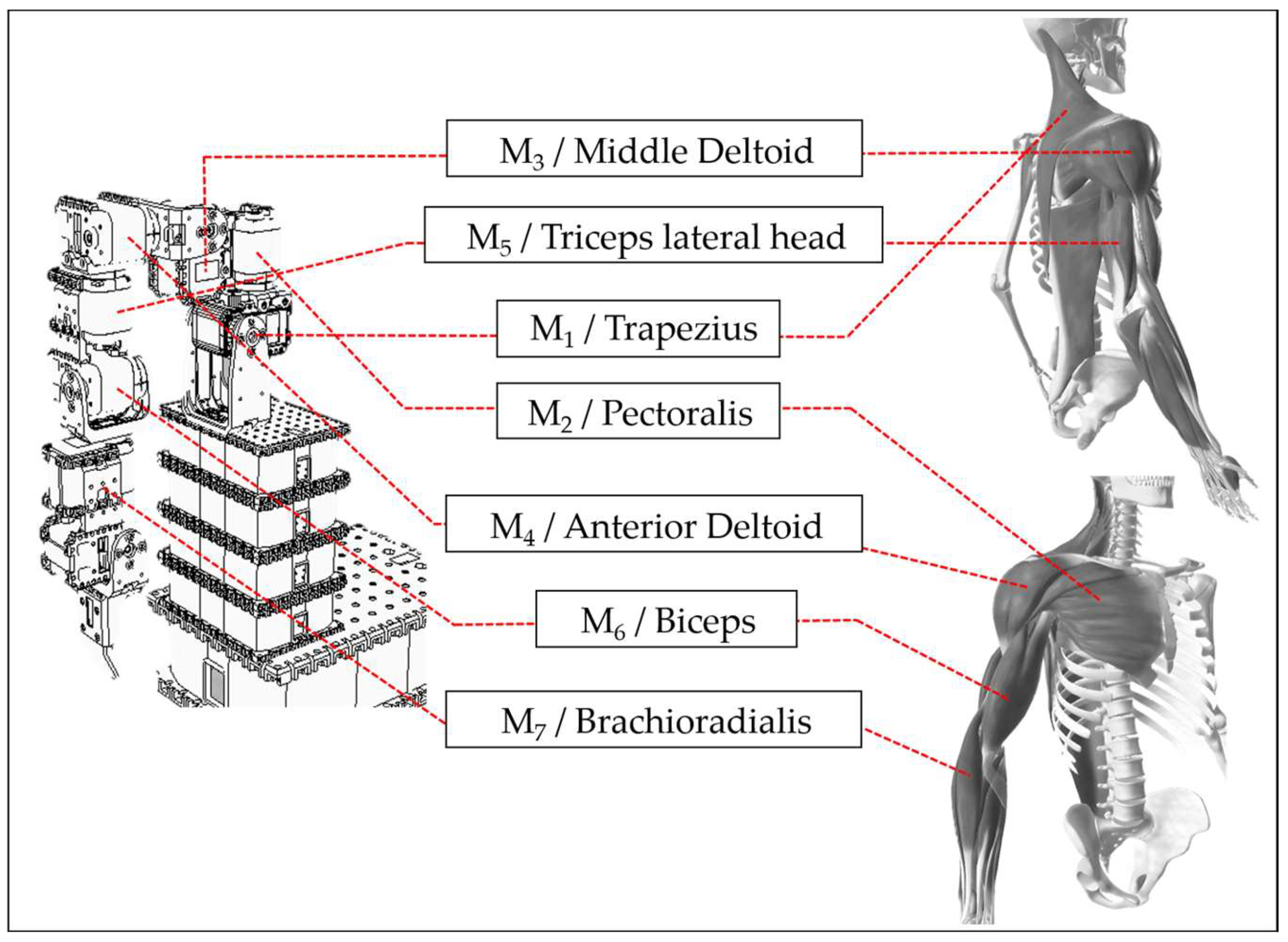 Actuators 13 00362 g005