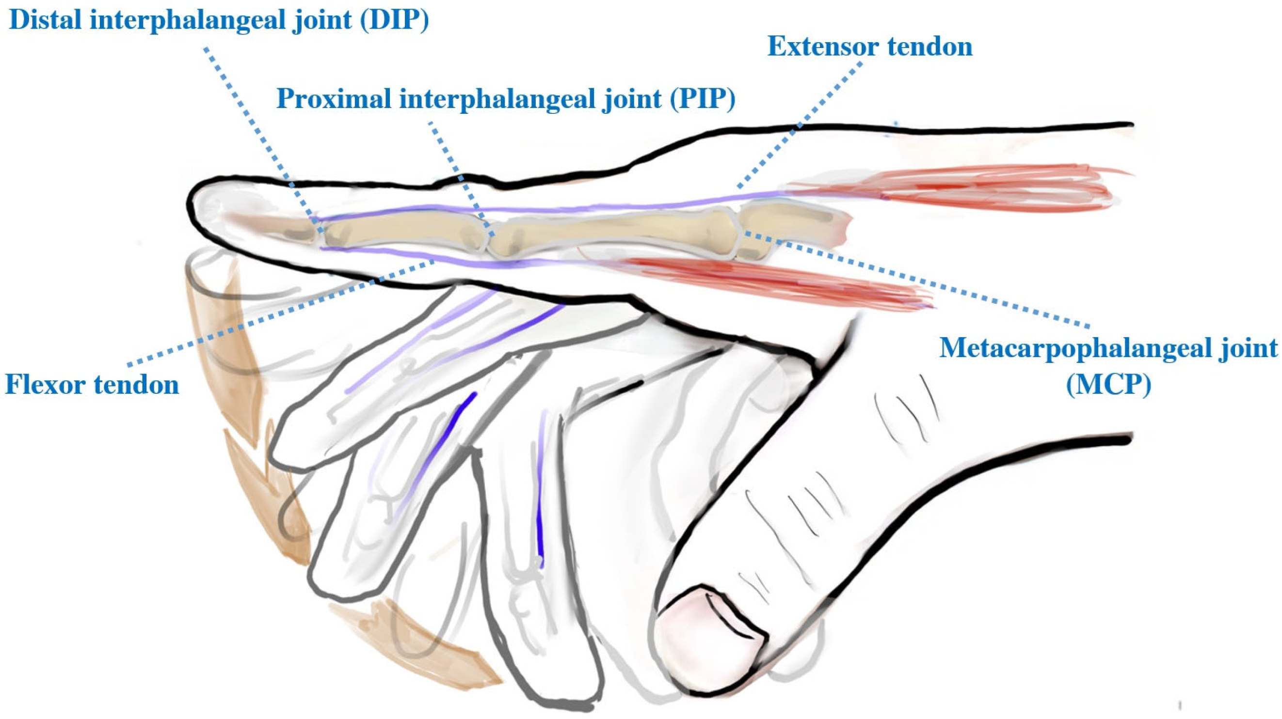 Actuators 13 00409 g001