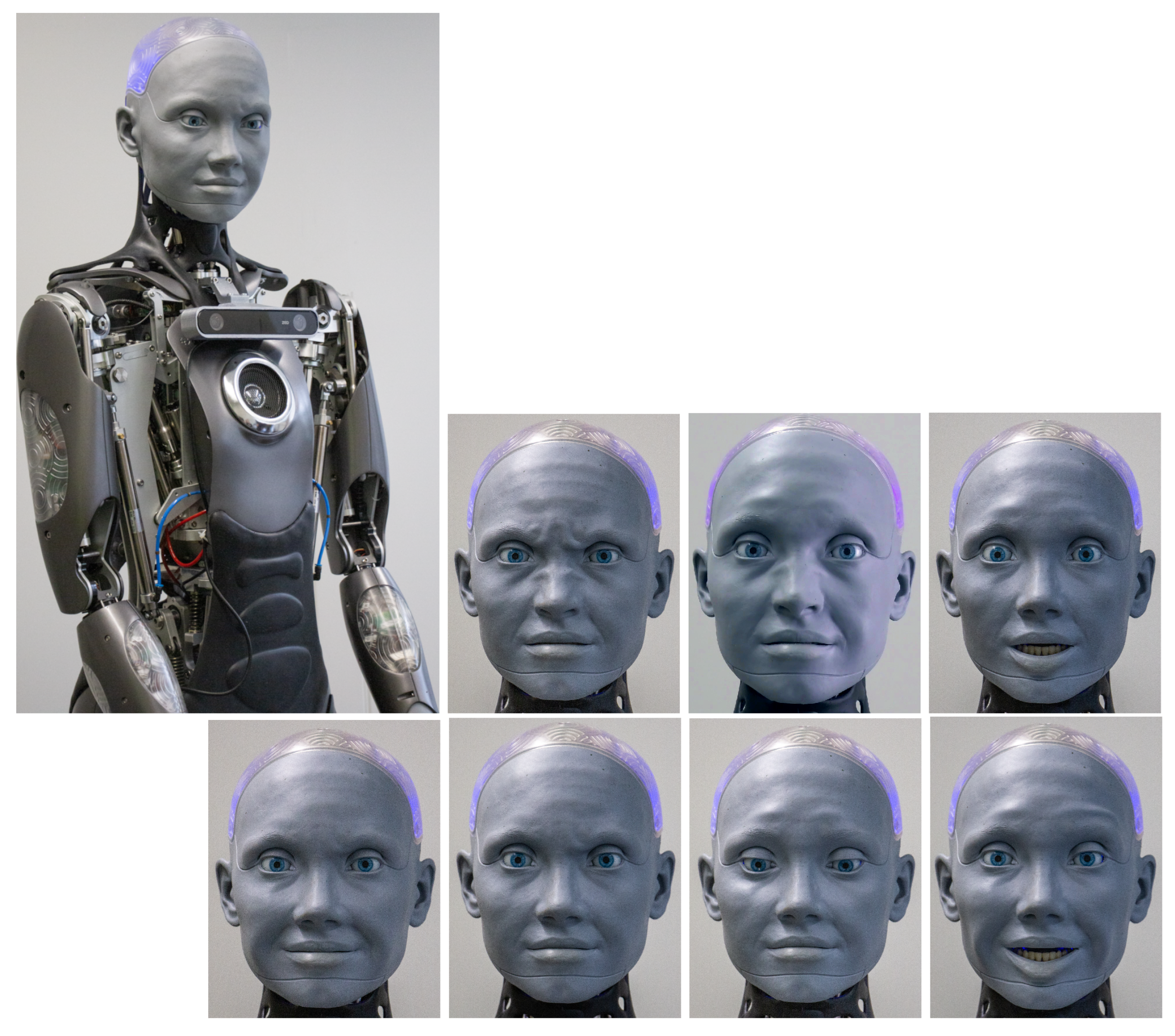 Actuators 13 00419 g003