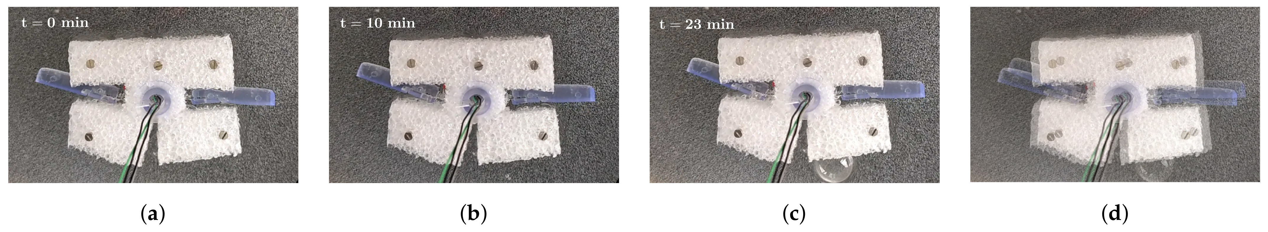 Actuators 13 00498 g011