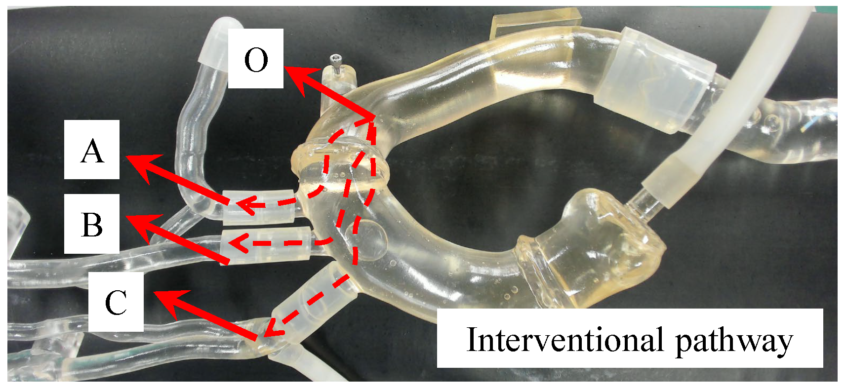 Actuators 14 00029 g006