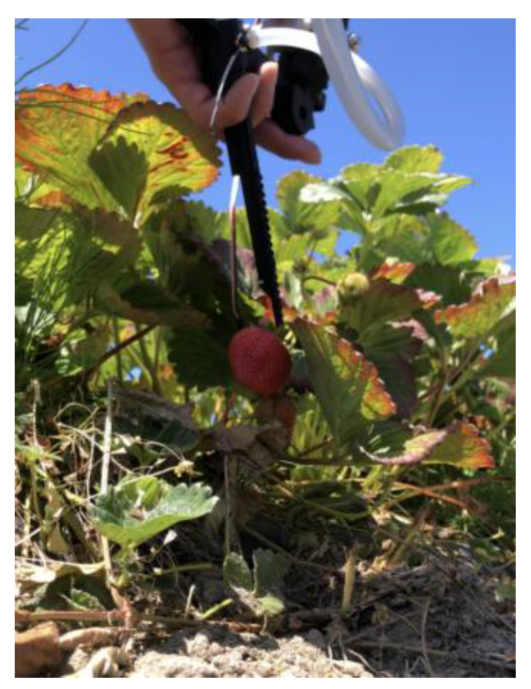 Actuators 14 00042 g011