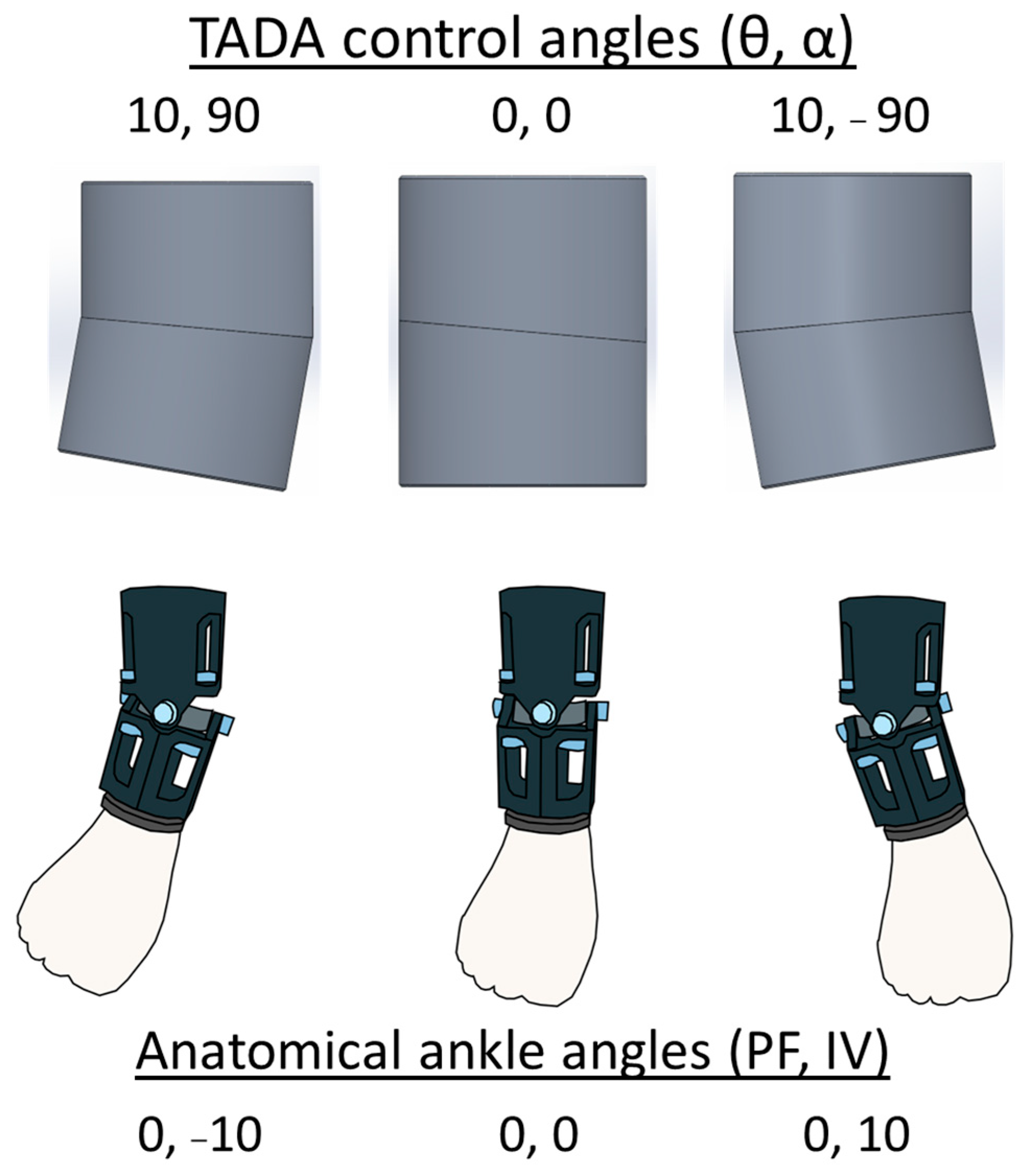 Actuators 14 00084 g003