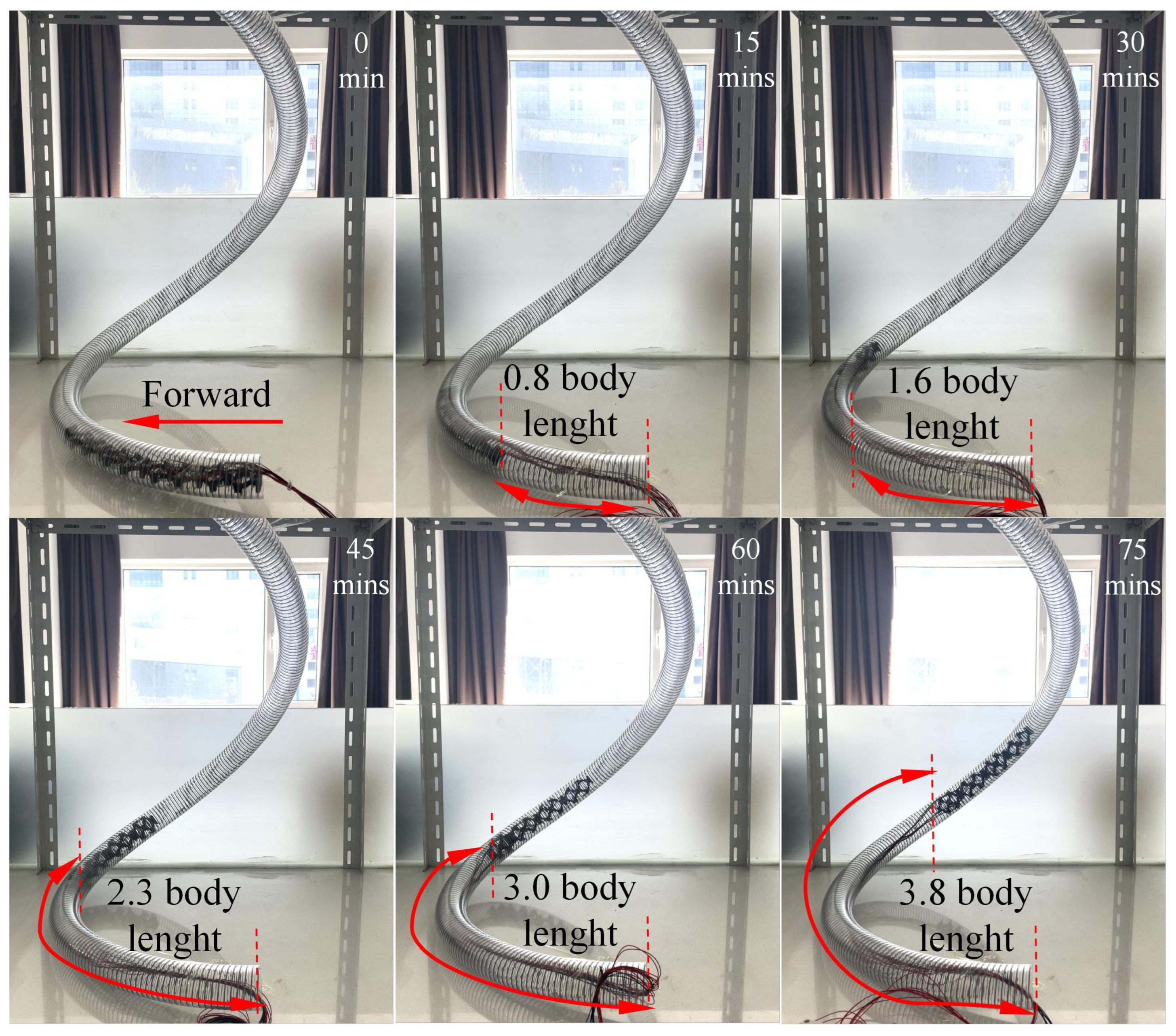 Actuators 14 00094 g008