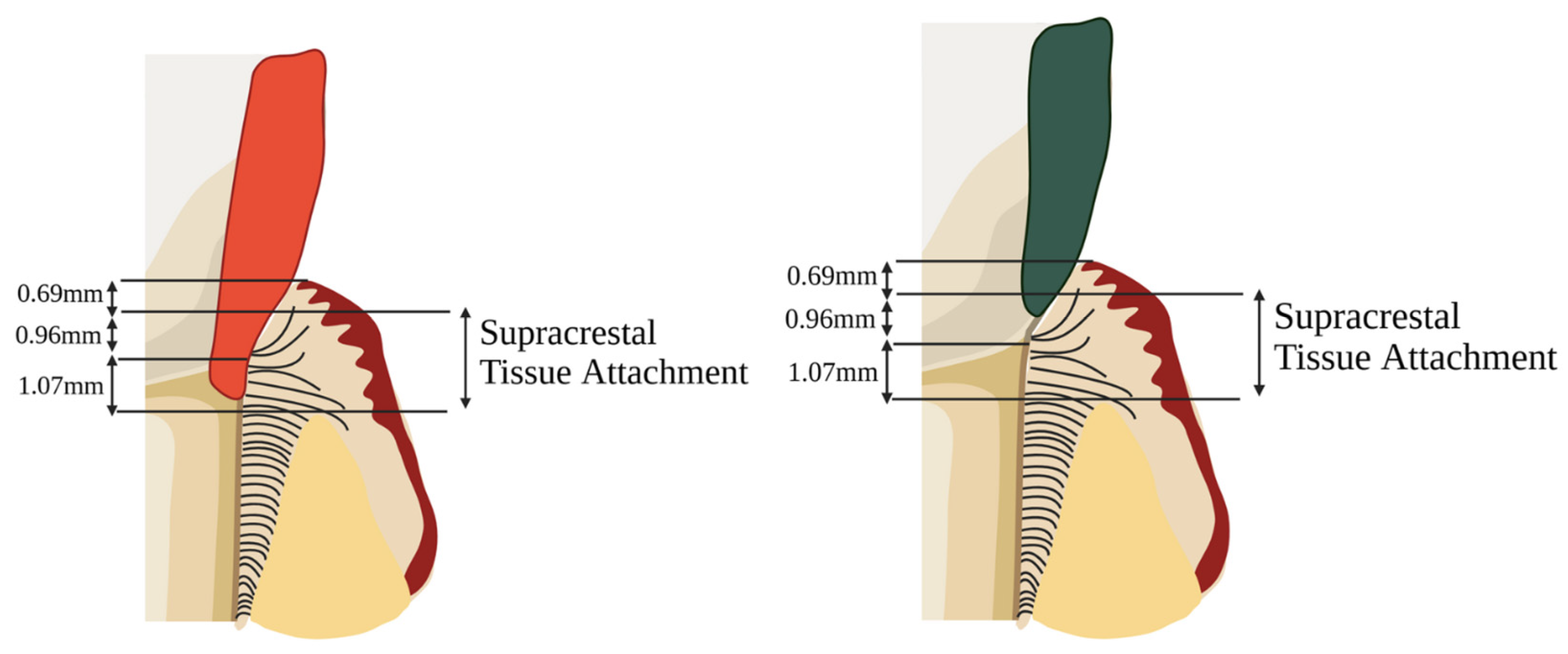 Adhesives 01 00010 g008