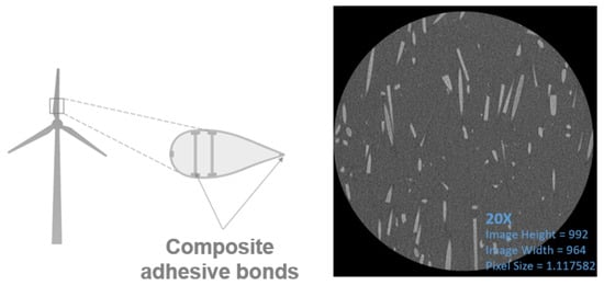 Specimens for 2D analysis. (Left): Schematic illustration of a wind turbine blade highlighting the location of composite adhesive bondlines investigated in this study. (Right): Representative µCT slice of the short fibre-reinforced adhesive (20× magnification, image size 992 × 964 pixels, pixel size 1.1176 µm), showing glass fibres as bright inclusions within the darker epoxy matrix.
