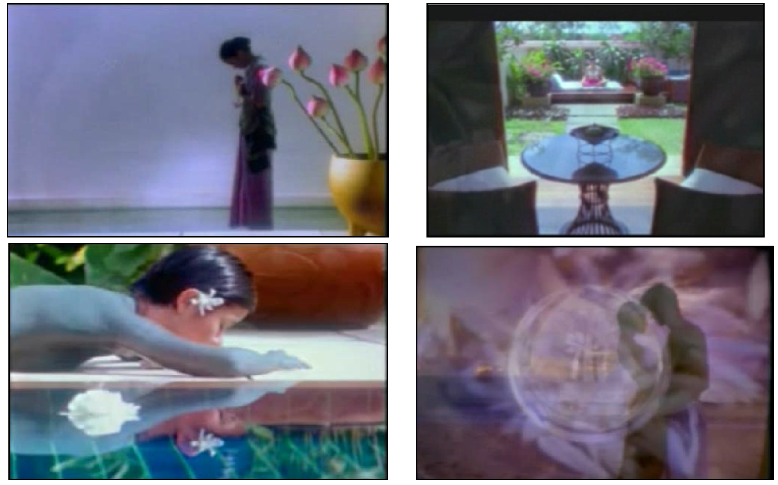 Admsci 06 00005 g004