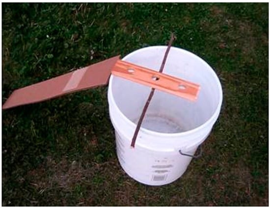 Admsci 07 00023 g005 550