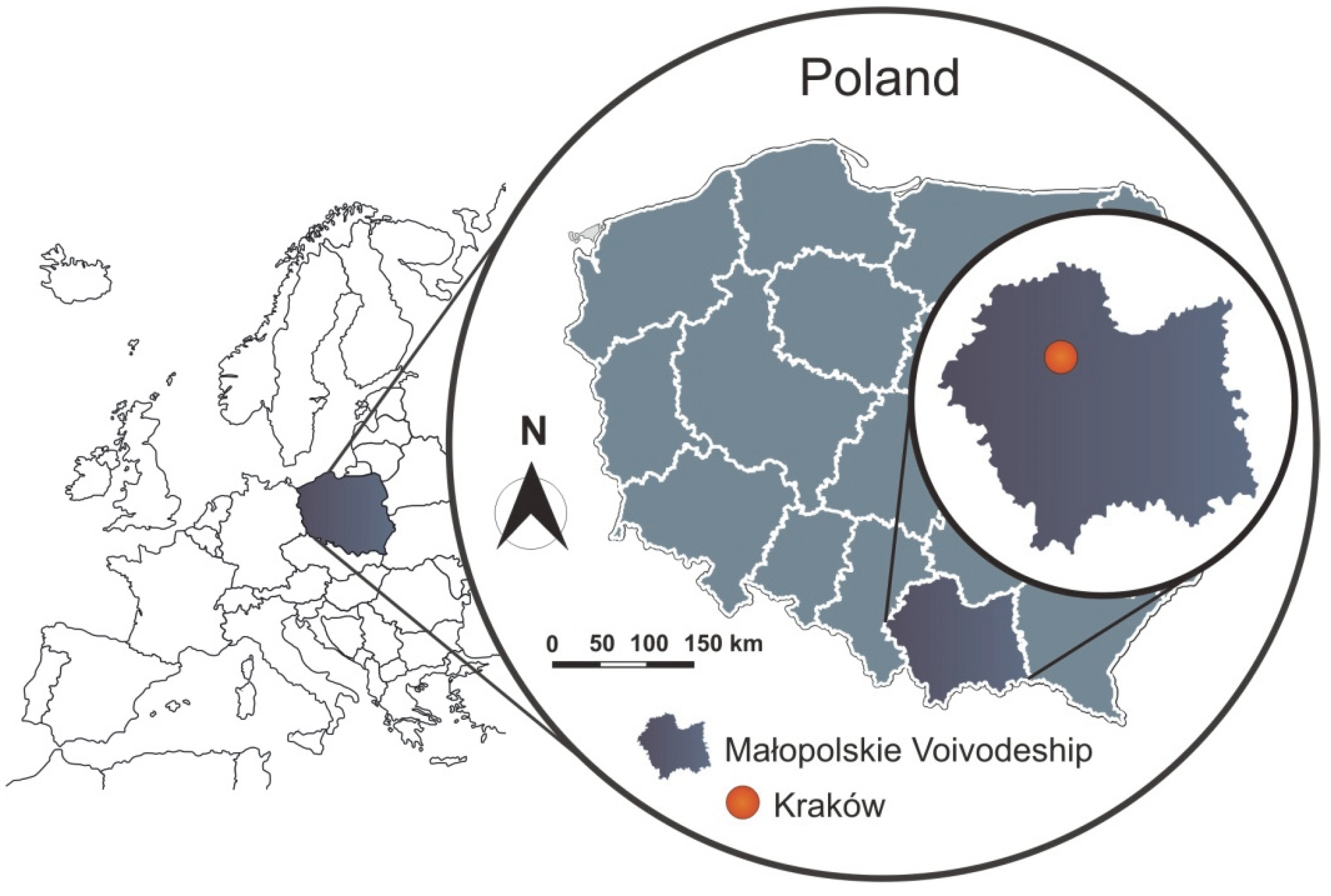 Admsci 10 00022 g002