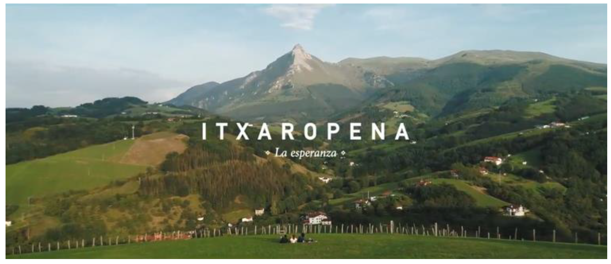 Admsci 11 00101 g003