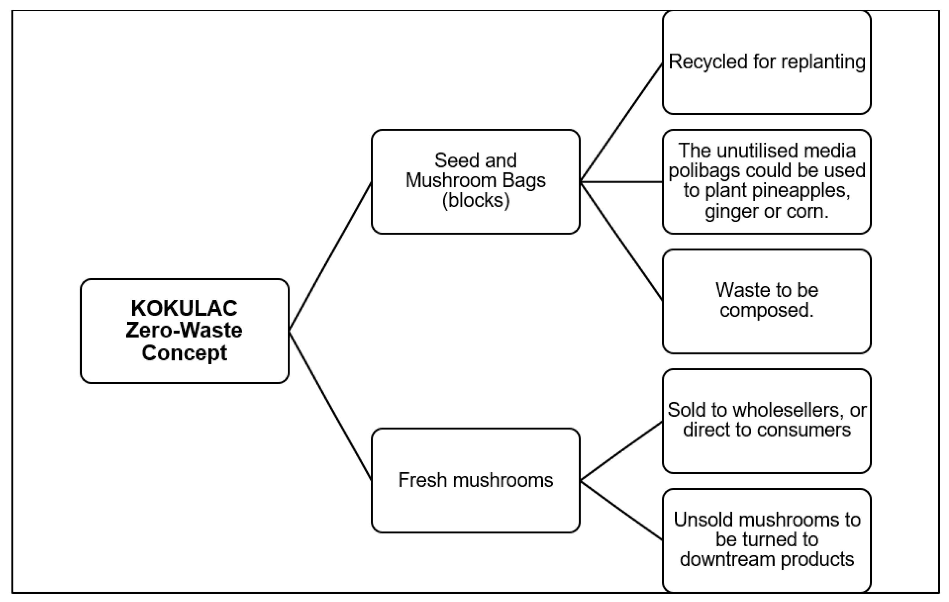 Admsci 12 00103 g003