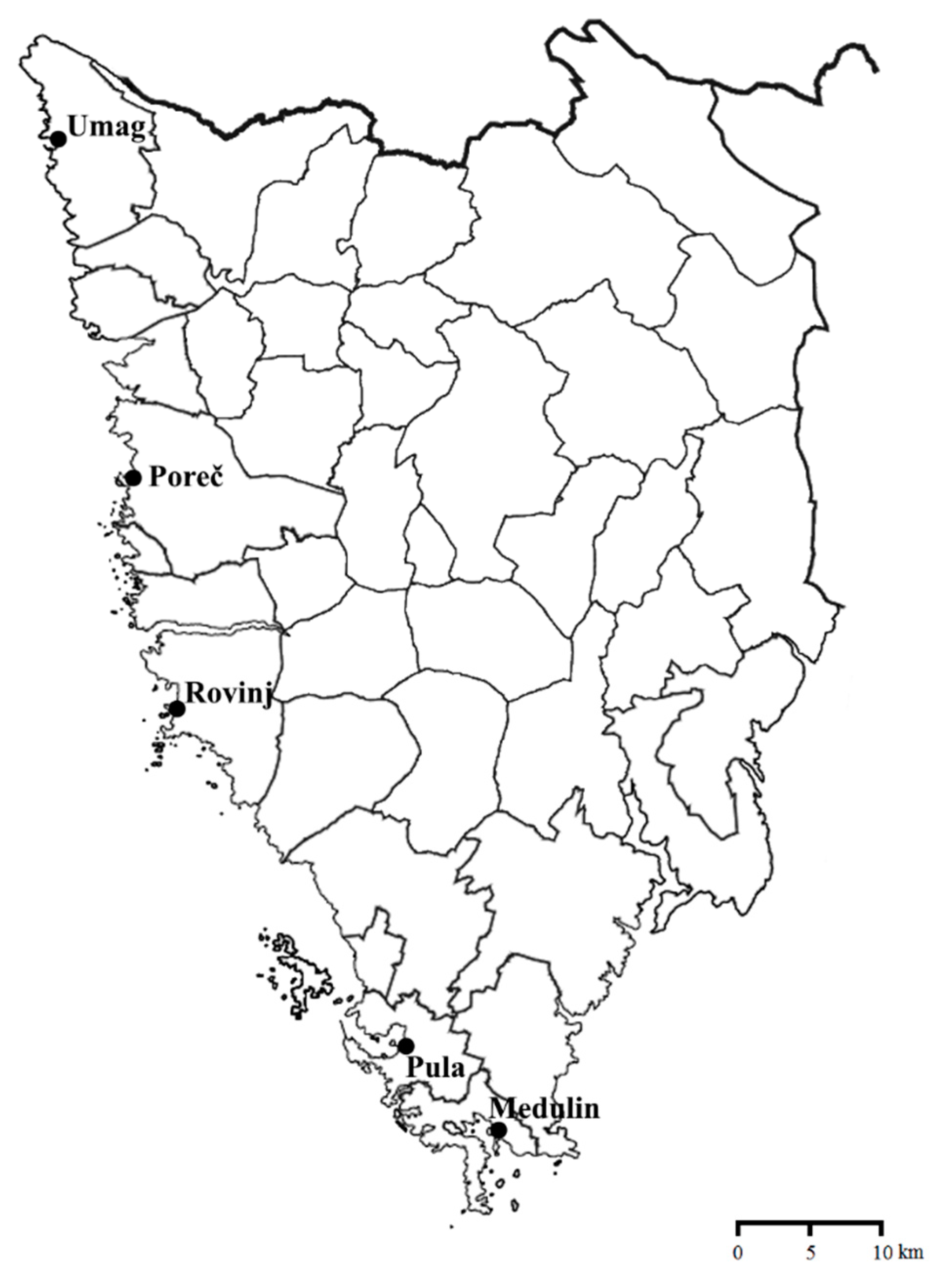 Admsci 12 00181 g001