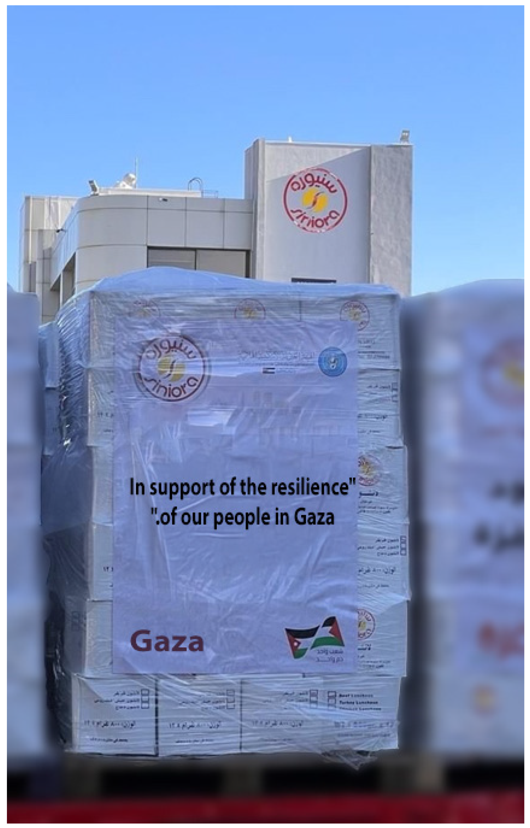 Admsci 15 00084 g006