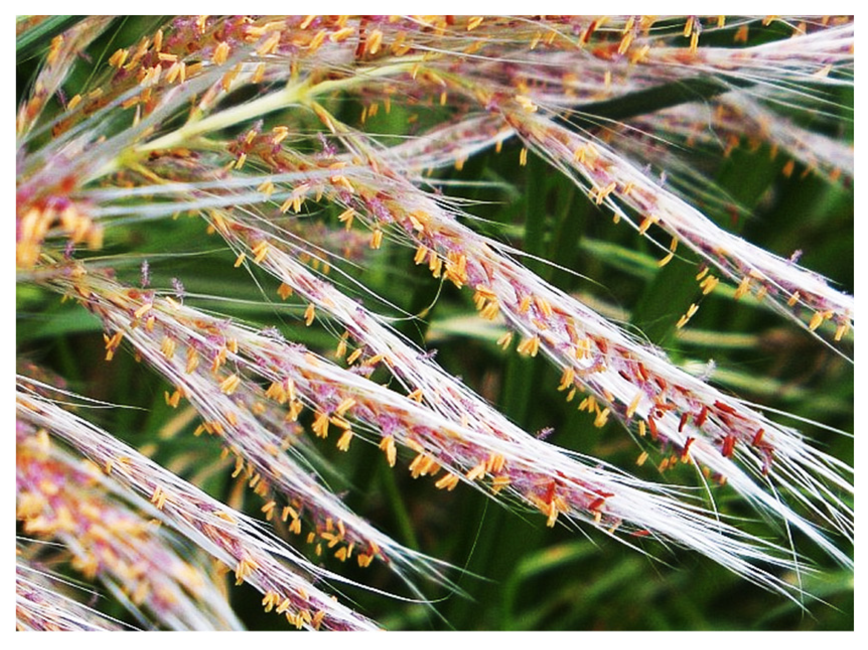 Aerobiology 01 00004 g002