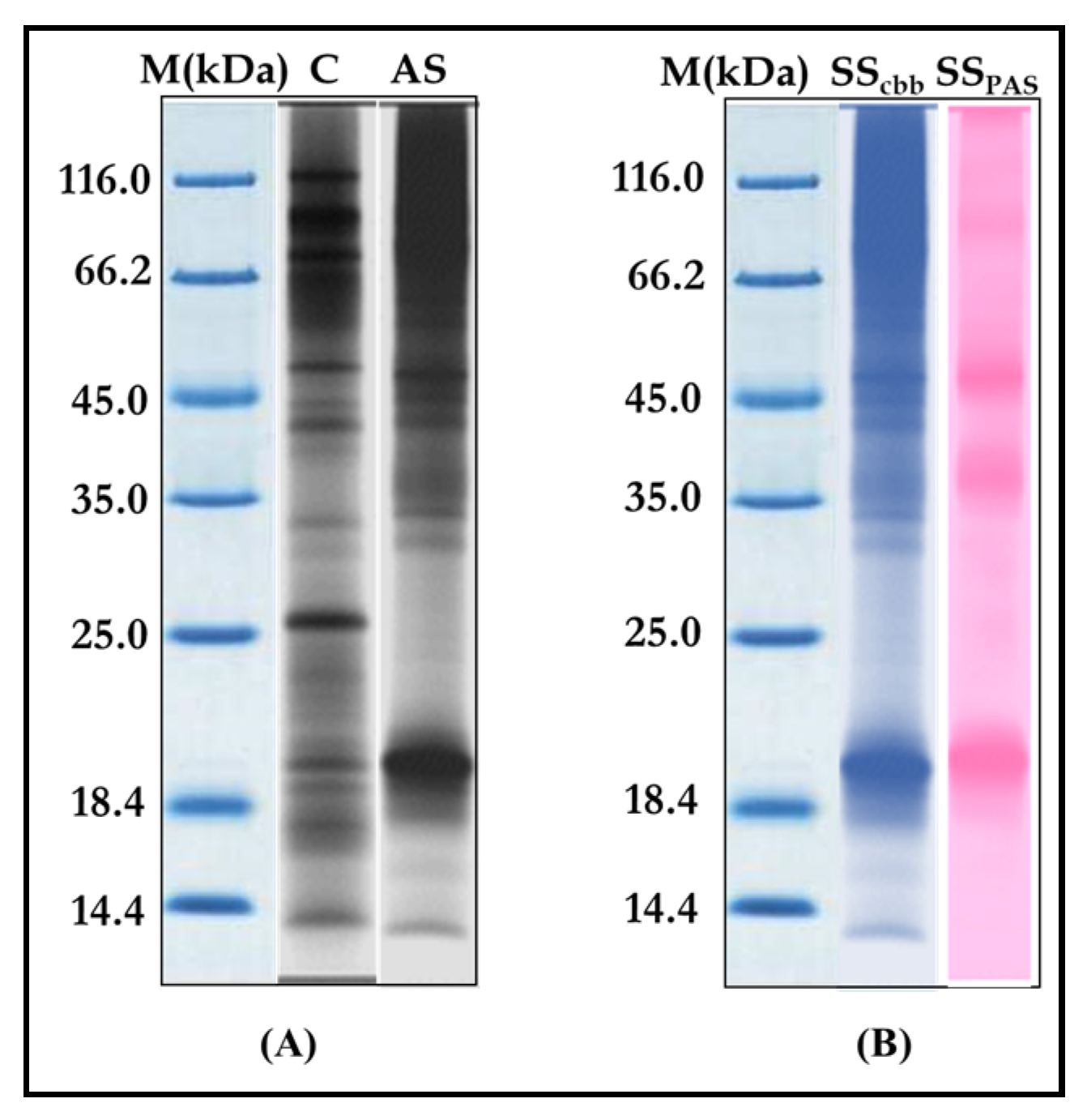 Aerobiology 01 00004 g008