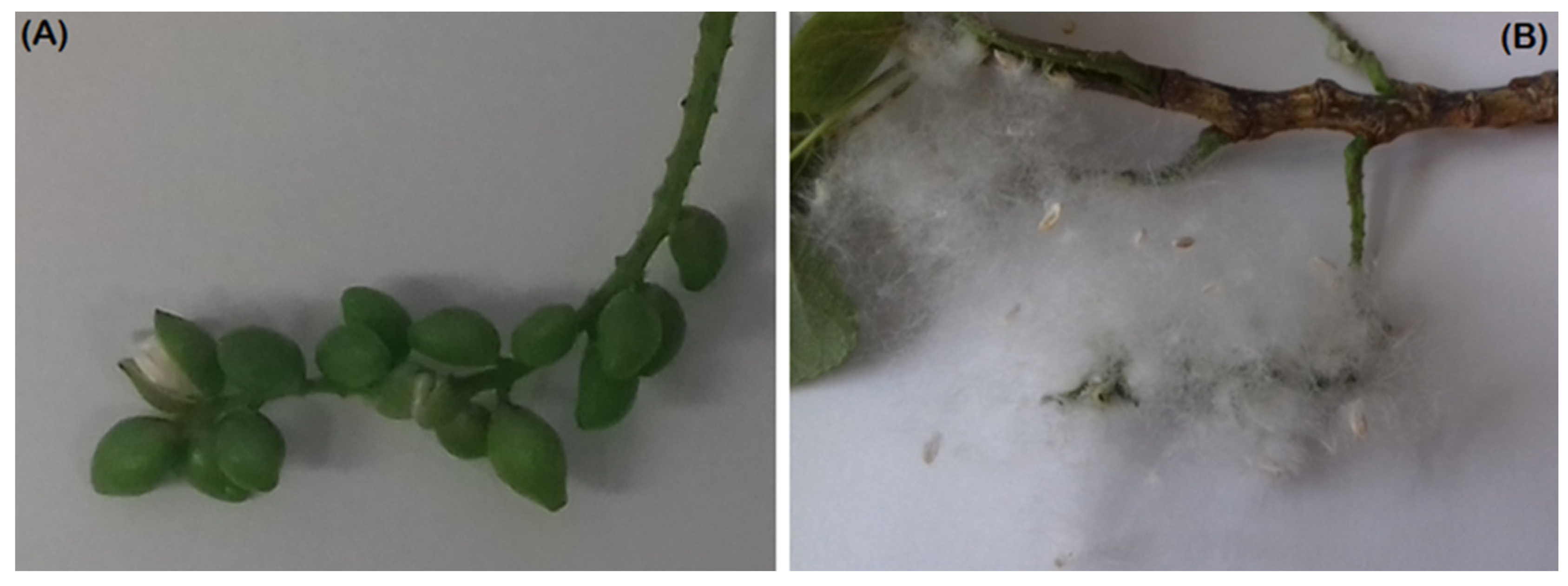 Aerobiology 02 00002 g002