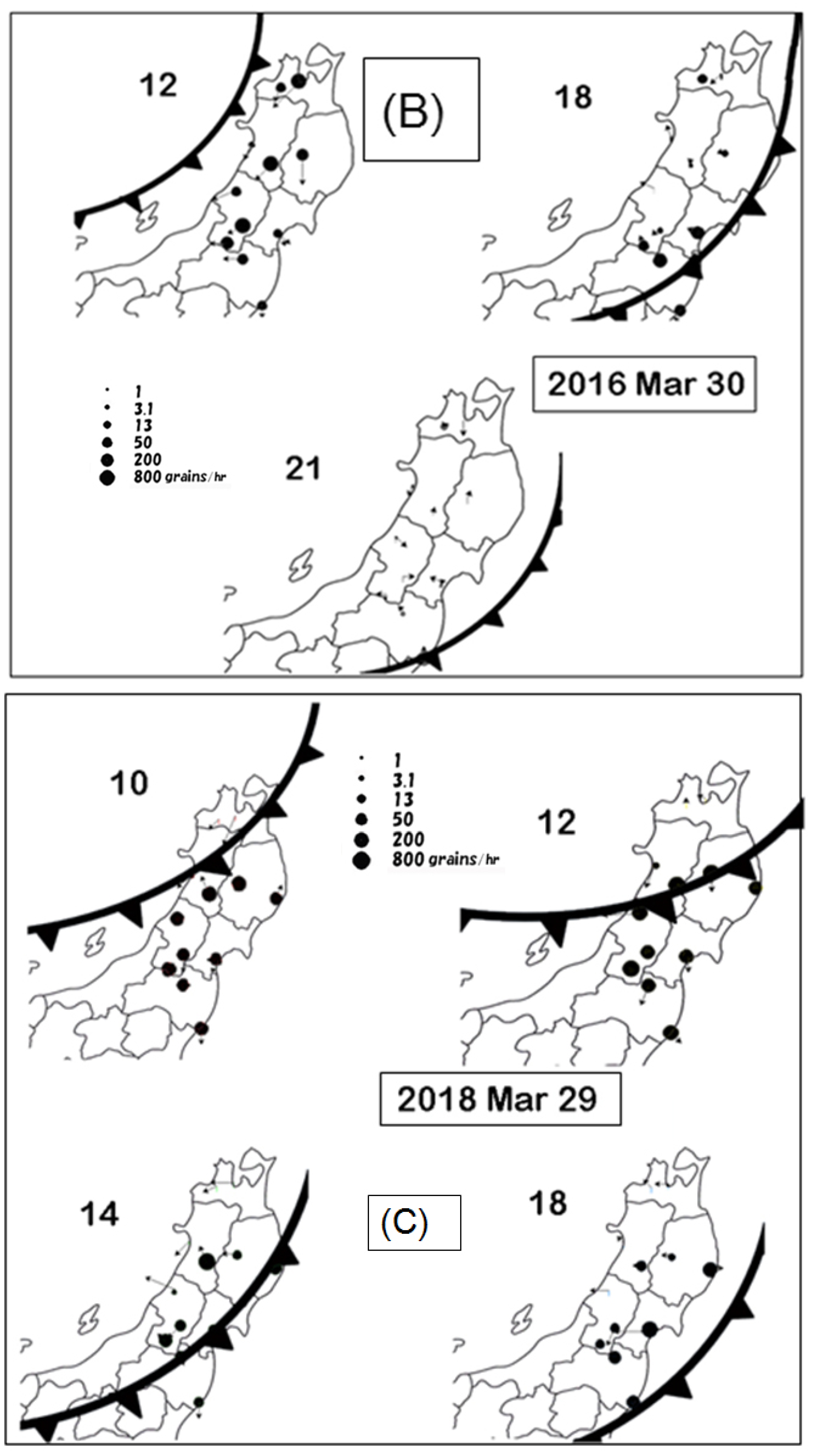 Aerobiology 03 00005 g003b Aerobiology 03 00005 g003b