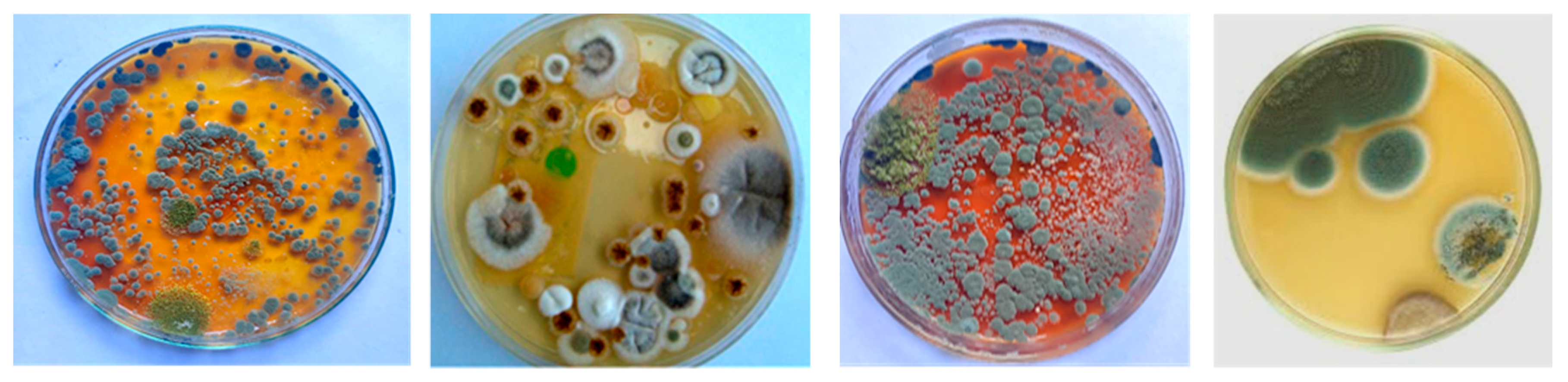 Aerobiology 04 00003 g002