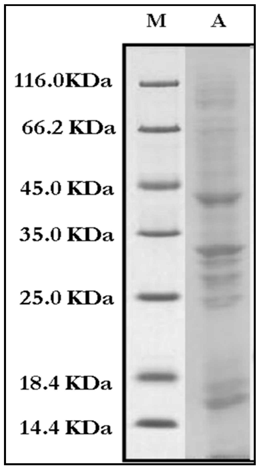 Aerobiology 04 00003 g012