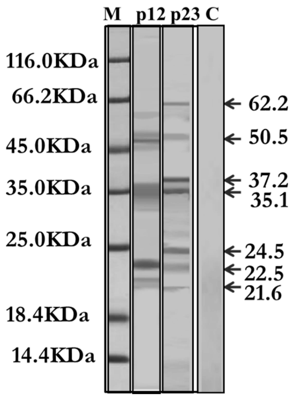 Aerobiology 04 00003 g013