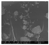 Aerospace 06 00007 i002