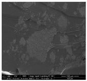 Aerospace 06 00007 i003