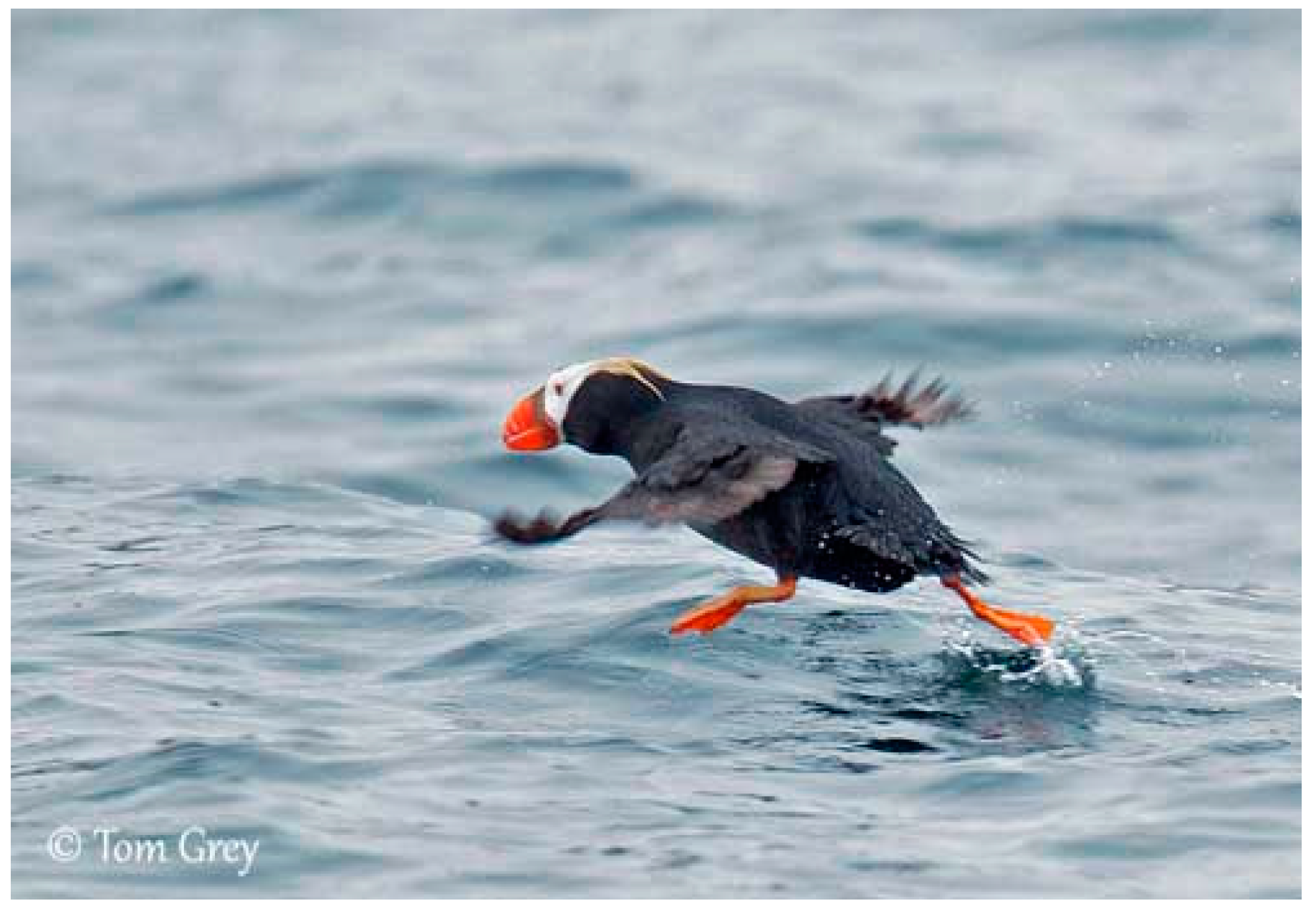 Aerospace 06 00021 g003