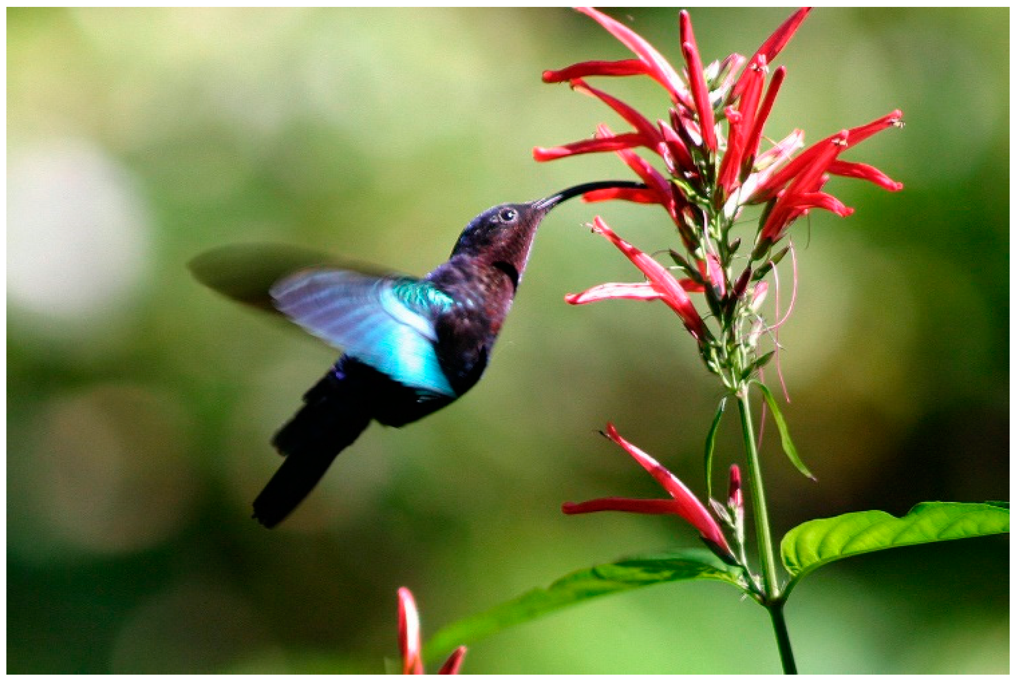 Aerospace 06 00021 g004