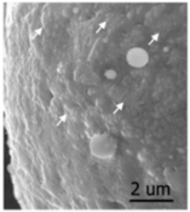 Aerospace 07 00077 i010