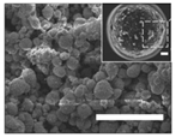 Aerospace 07 00077 i014