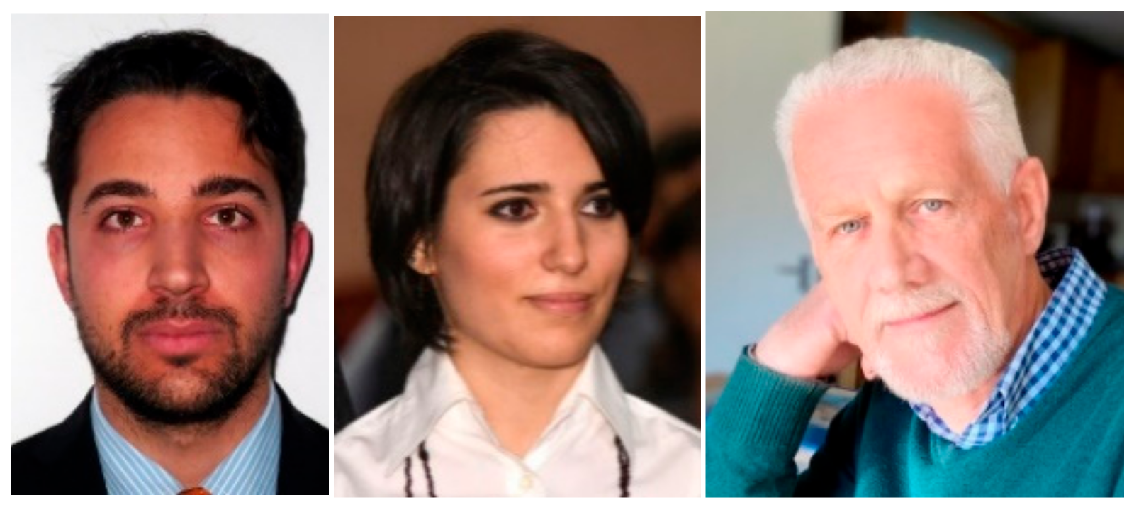 Aerospace 08 00101 g003