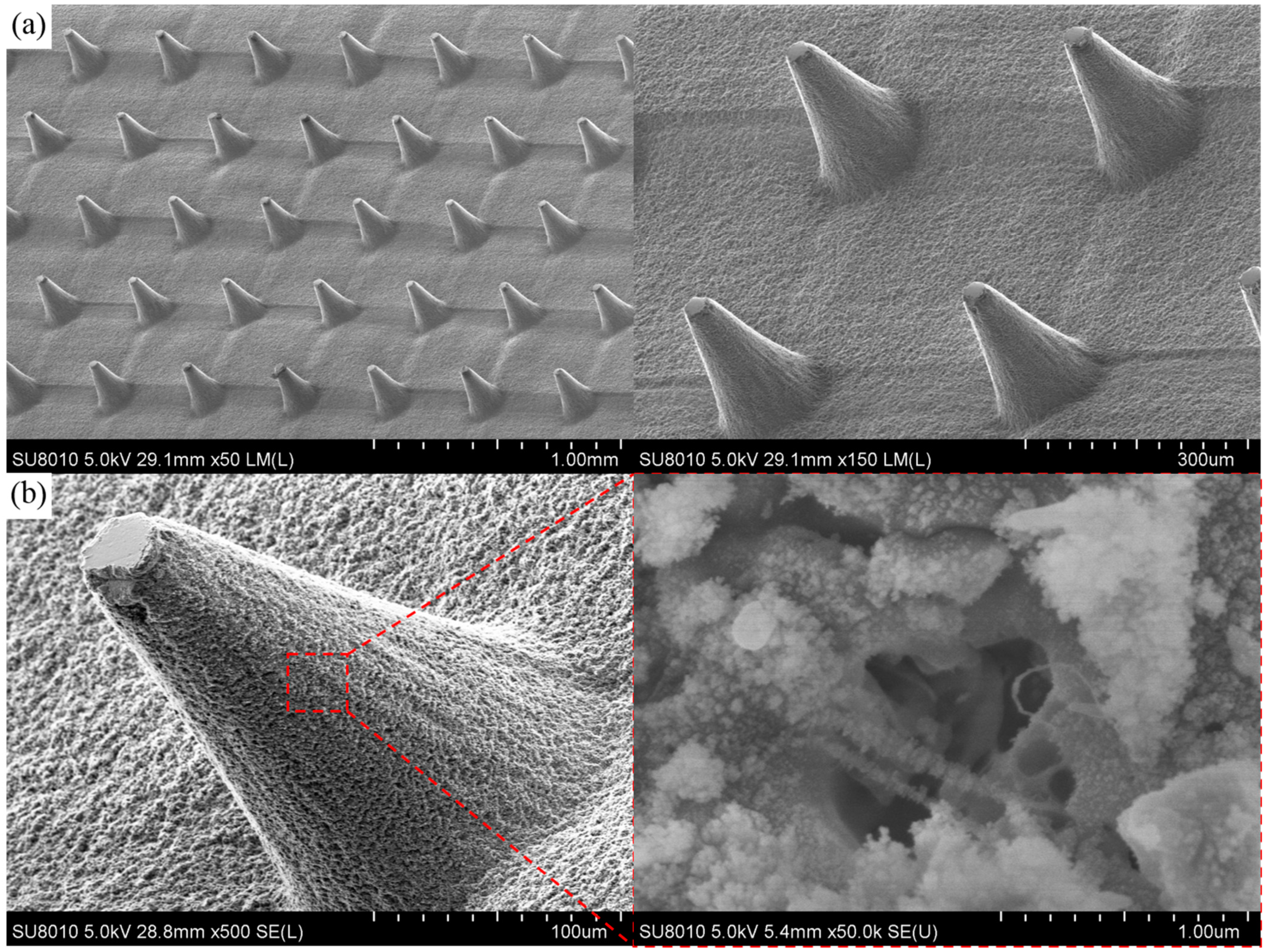 Aerospace 08 00297 g007