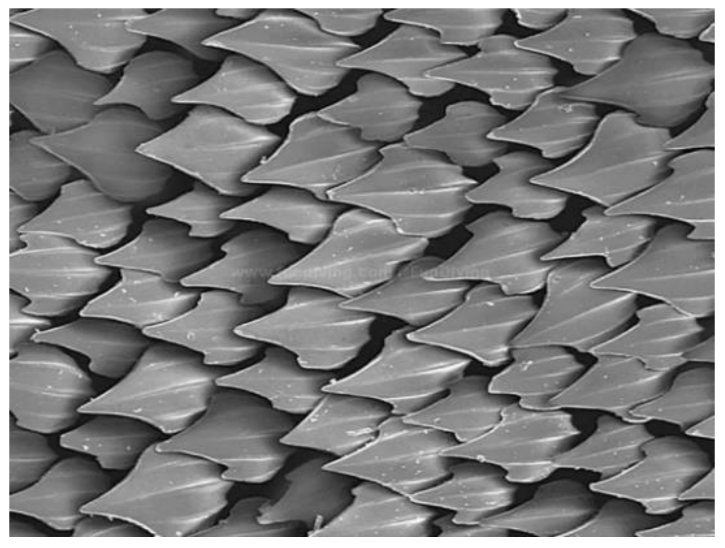 Aerospace 09 00307 g001