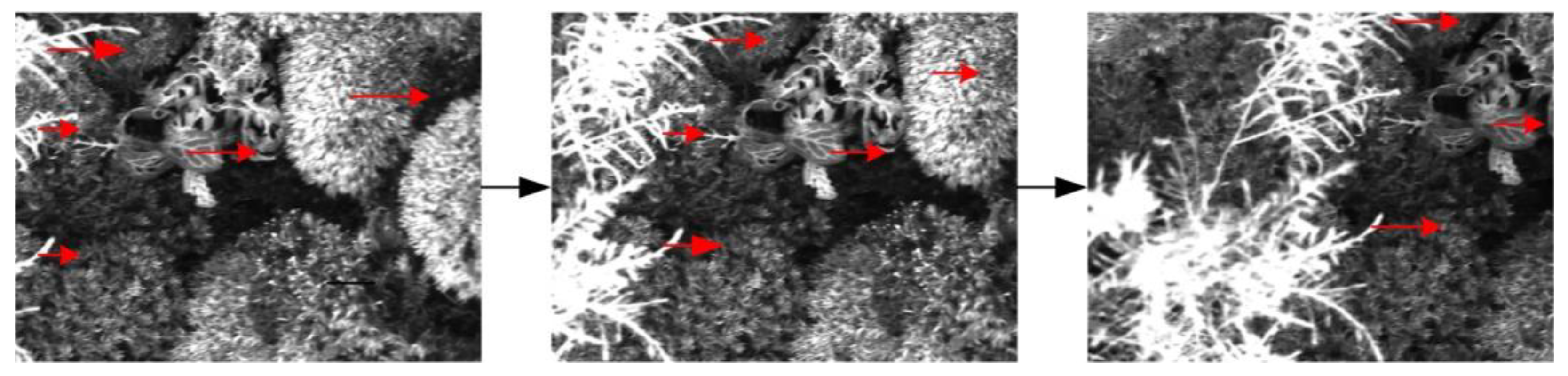 Aerospace 10 00183 g020