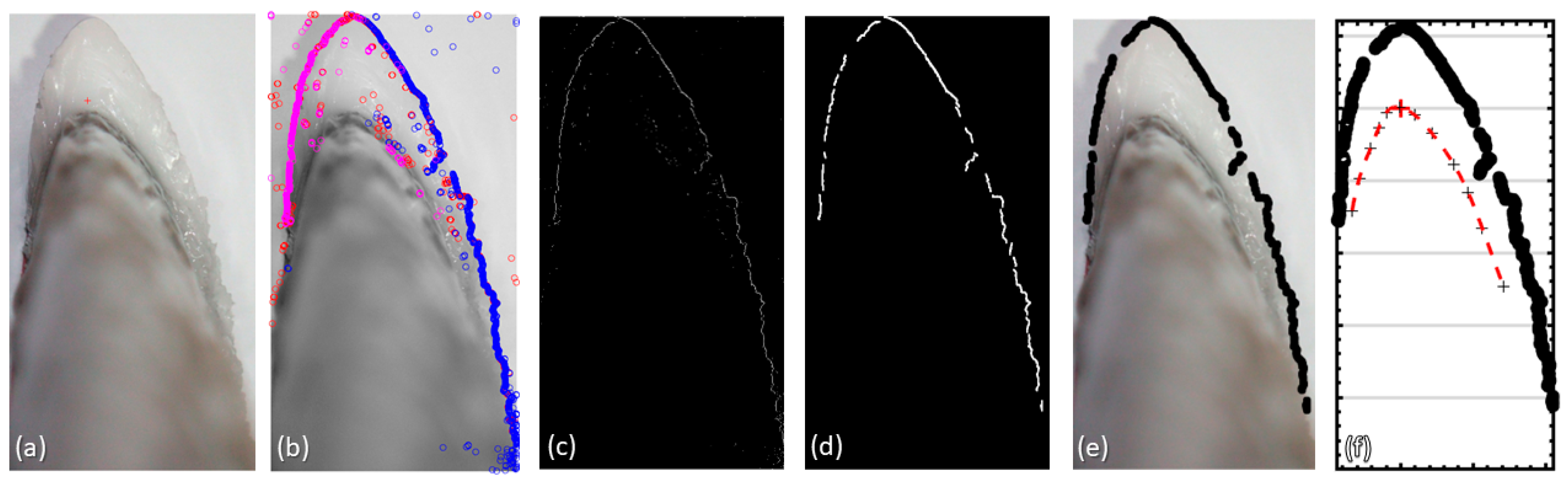 Aerospace 10 00451 g008