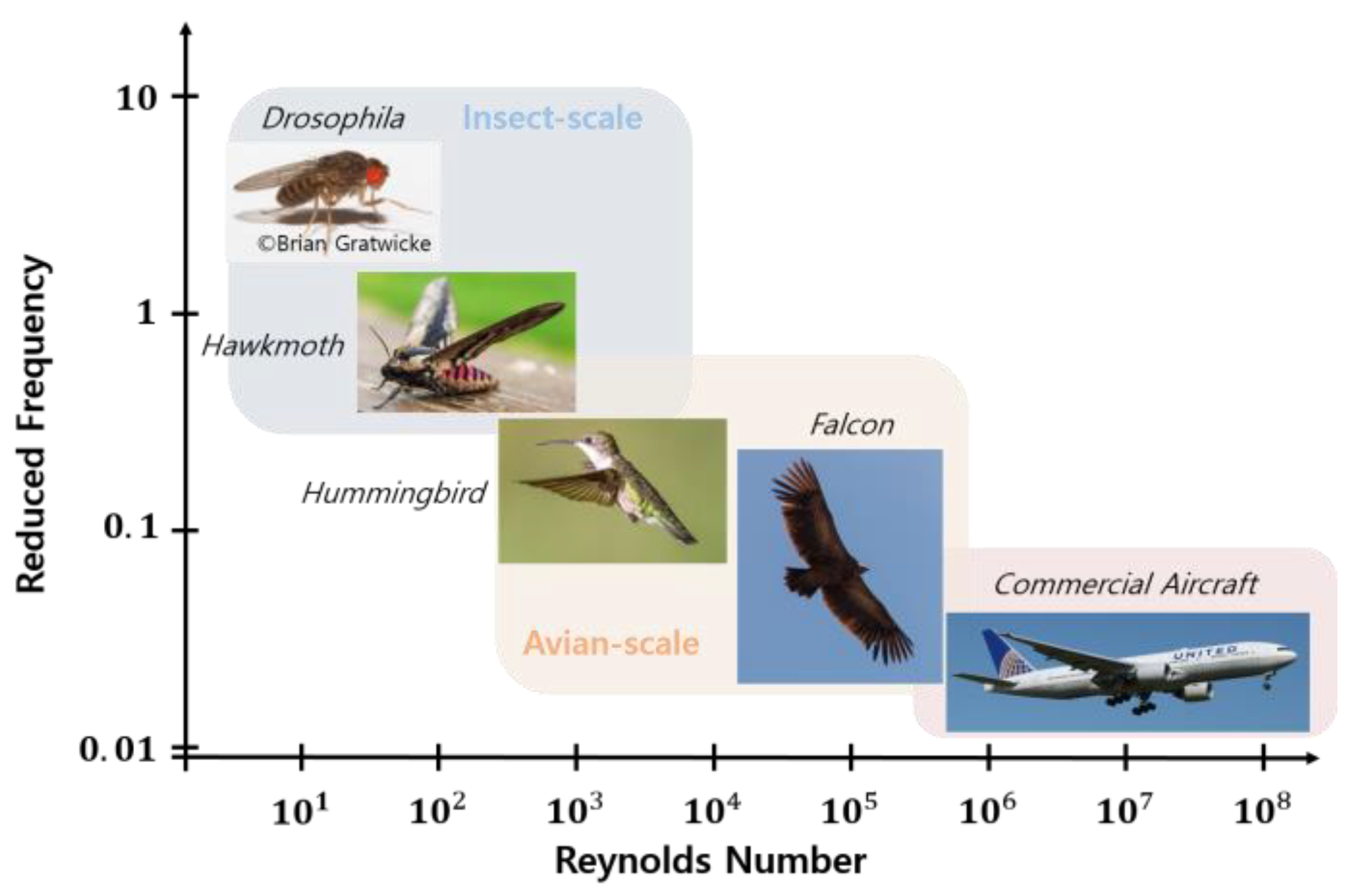 Aerospace 10 00554 g001 Aerospace 10 00554 g001