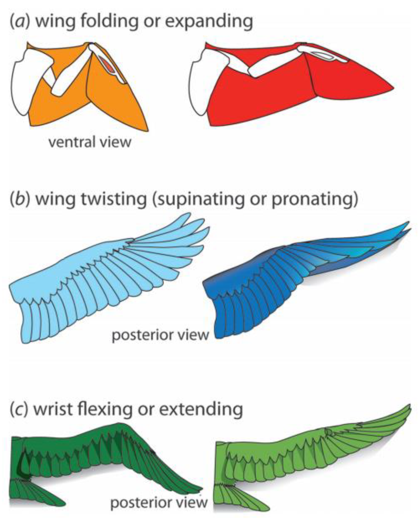 Aerospace 10 00554 g002 Aerospace 10 00554 g002