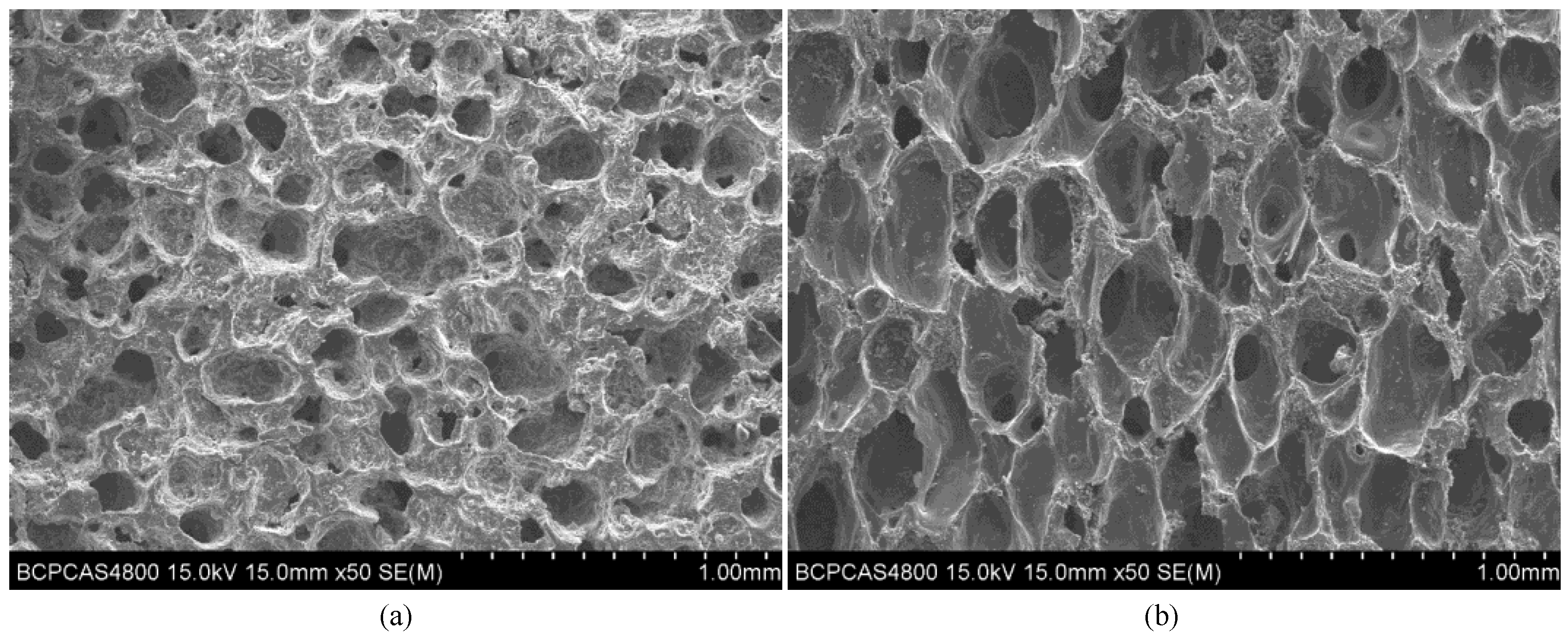 Aerospace 10 00721 g001