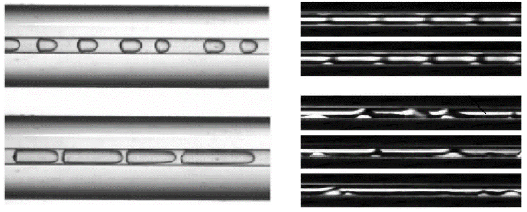 Aerospace 11 00409 g011