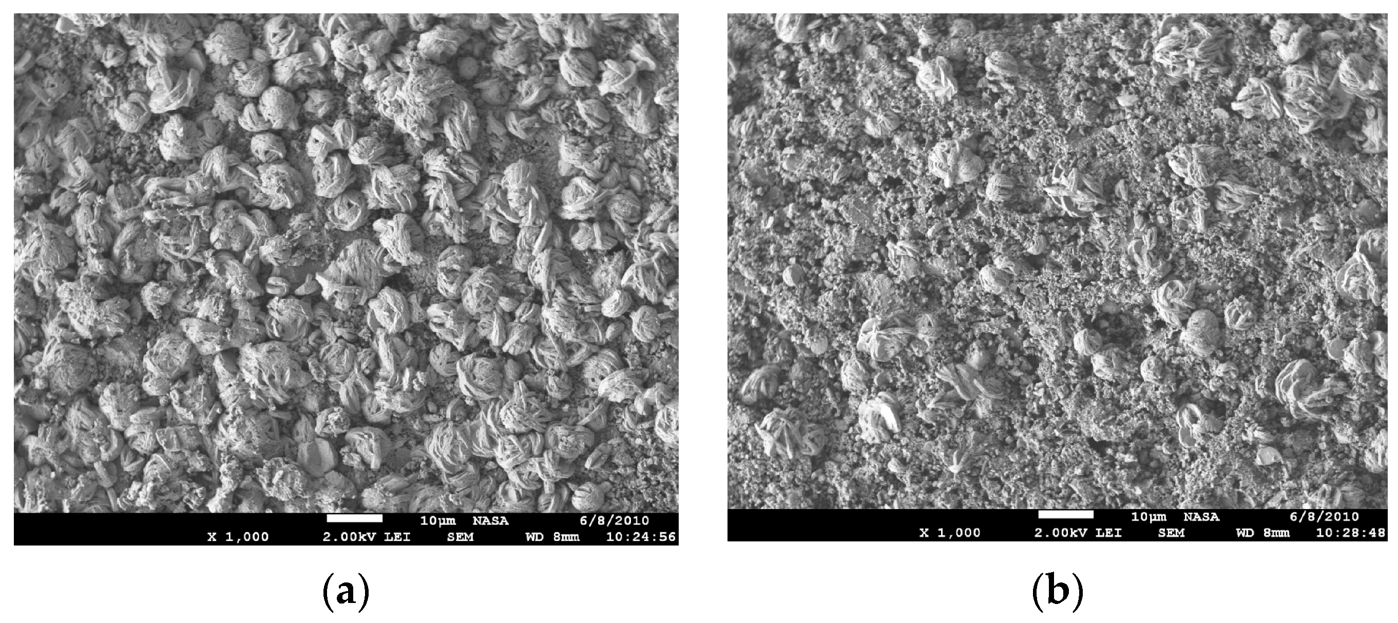 Aerospace 11 00439 g002