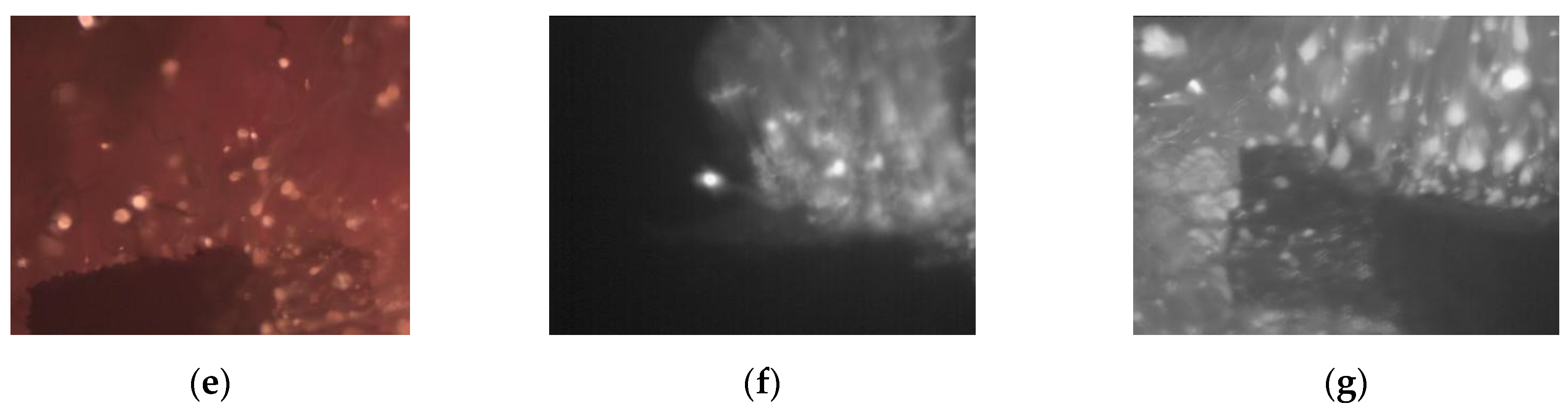 Aerospace 11 00672 g011b