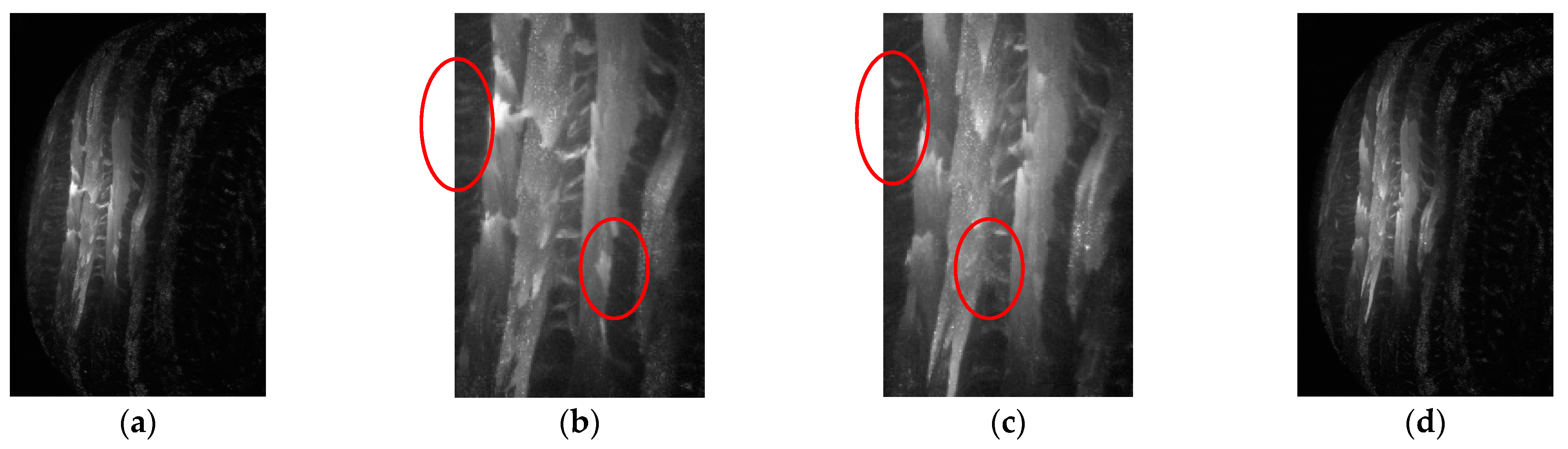 Aerospace 12 00043 g009