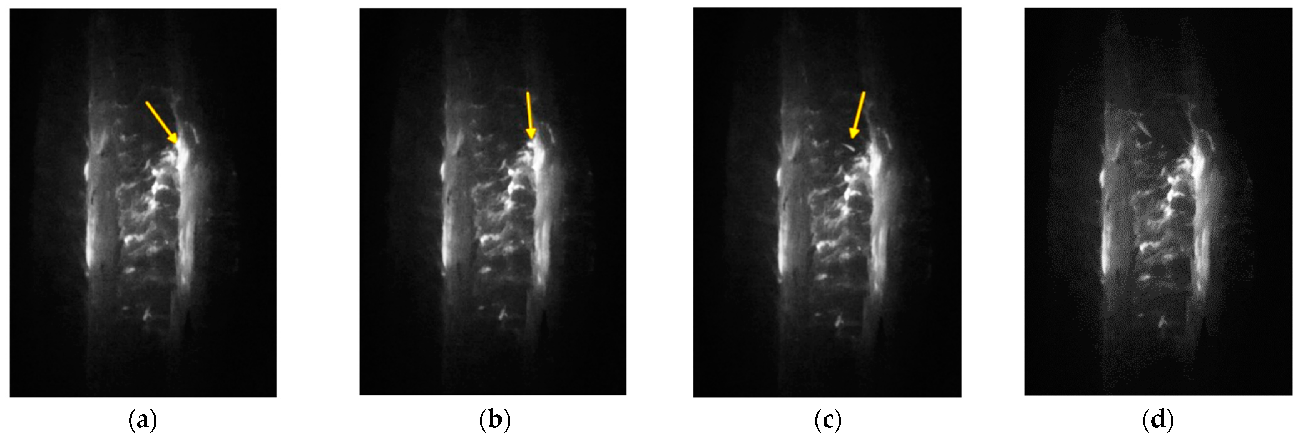 Aerospace 12 00043 g010