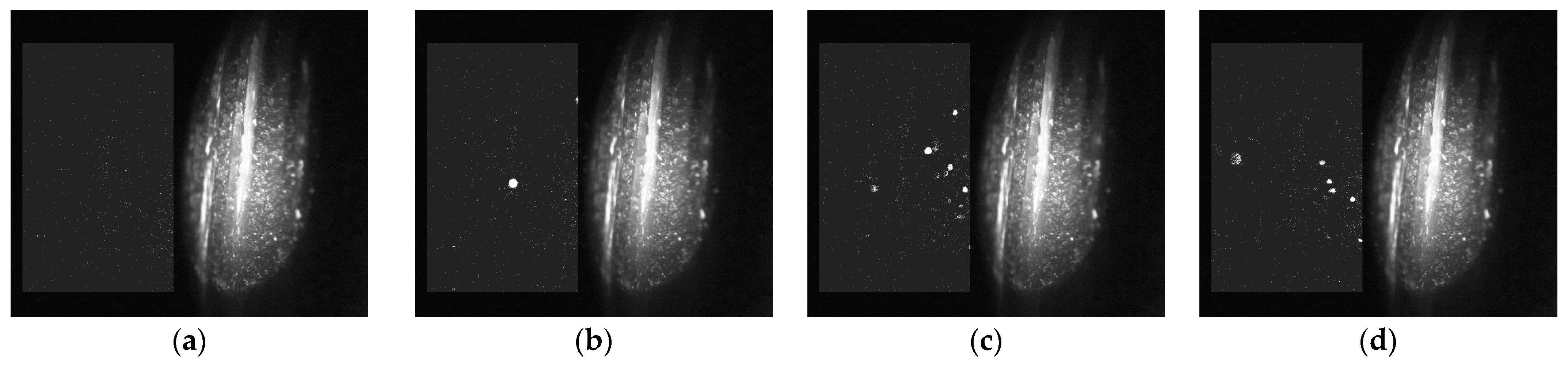 Aerospace 12 00043 g011